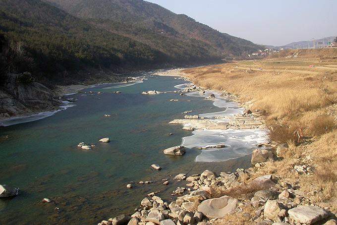 Scaly-sided Merganser habitat