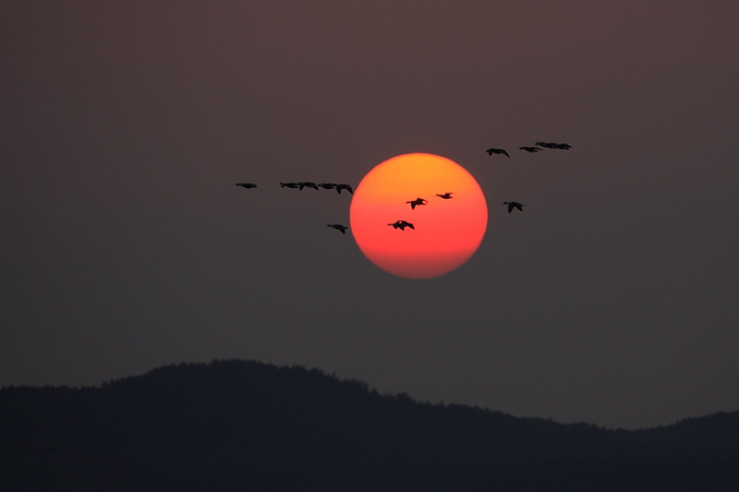 Sunset at Seosan