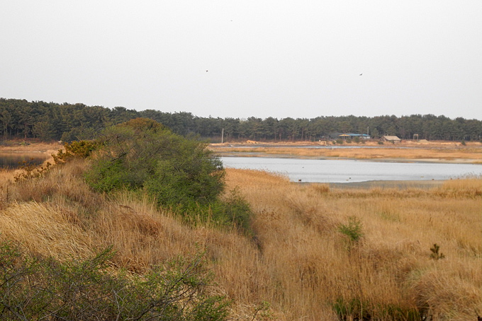 Hwadong Marsh