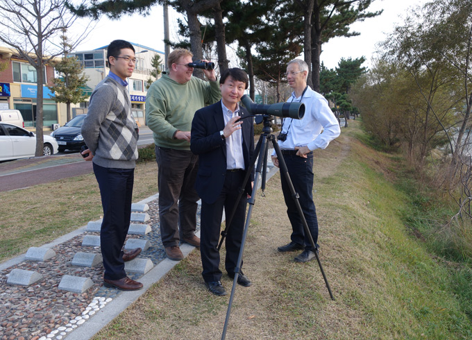 Getting into Birding