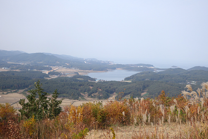 Landscape