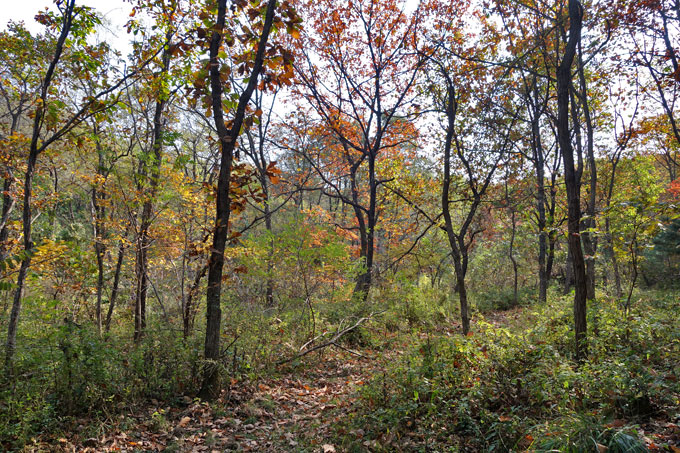 Songjeong ecotrail