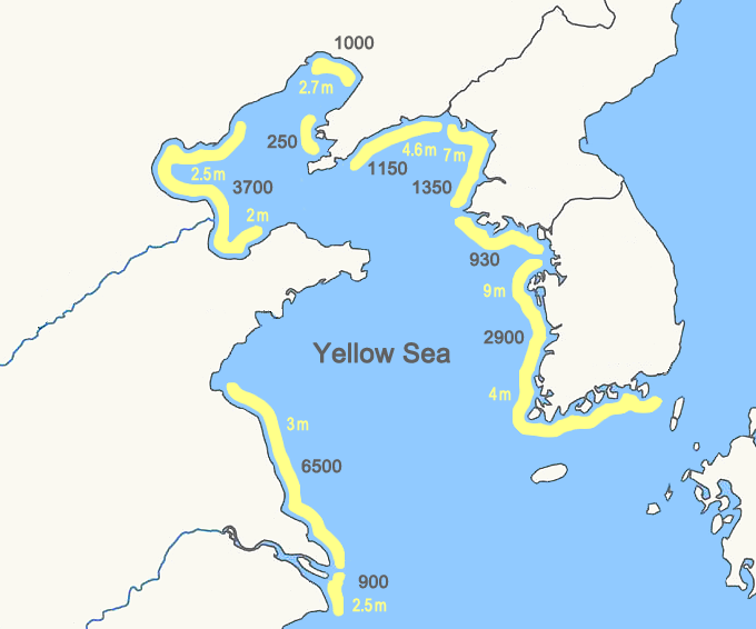 Birds Korea - Habitats - Yellow Sea