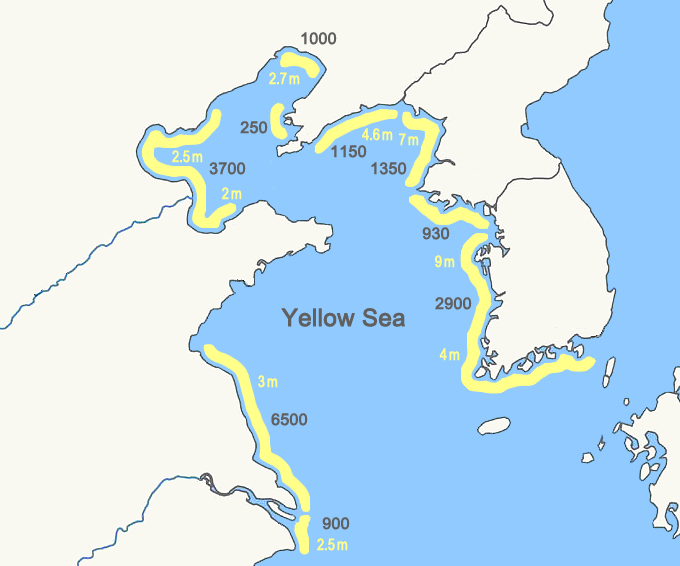 The The Yellow Sea