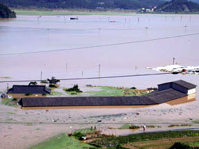 Upo Floods