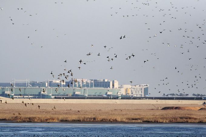 Yongjeong Island