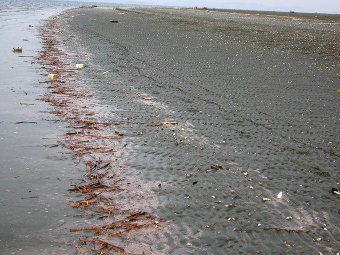 Pink-washed foam and flotsam, Simpo, Saemangeum