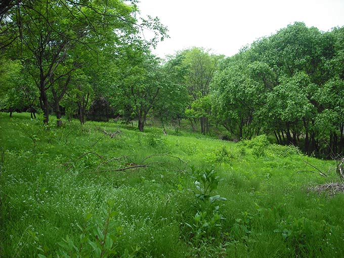 Habitat