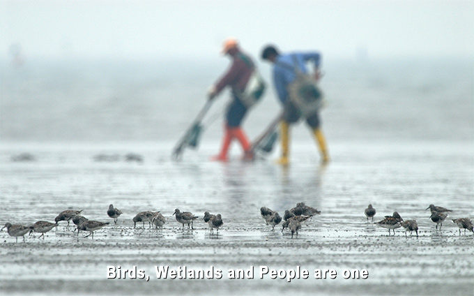 “Birds, Wetlands and People Are One.”