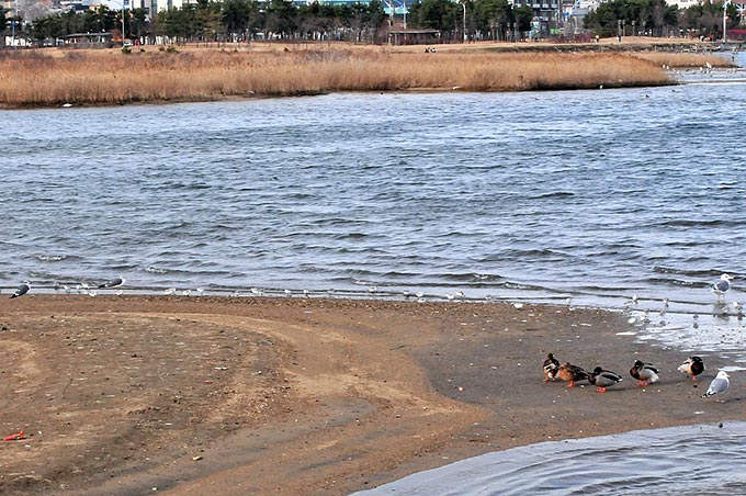 Choengcho Lagoon
