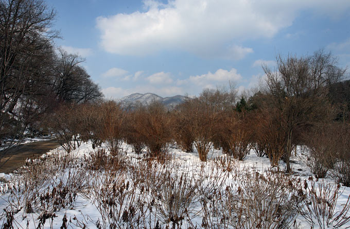 Gangwon