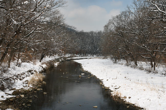 Stream