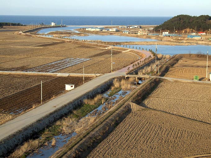 Nam-Cheon