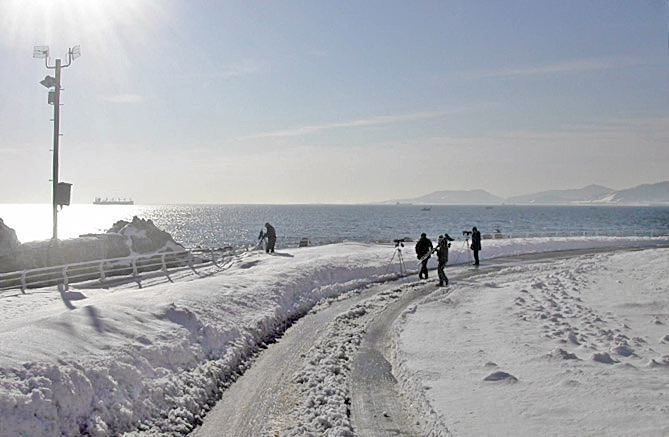 Seawatching at Okgye