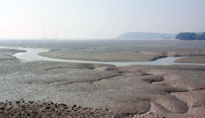 Mudflat at Yongheung
