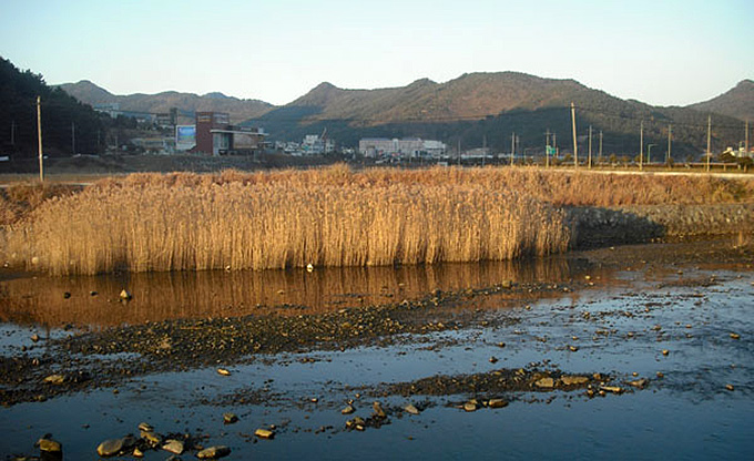 Gohyeon