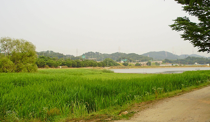 Gaesu Josuji, Siheung