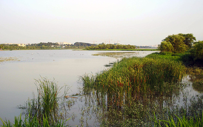 Uiwang Reservoir