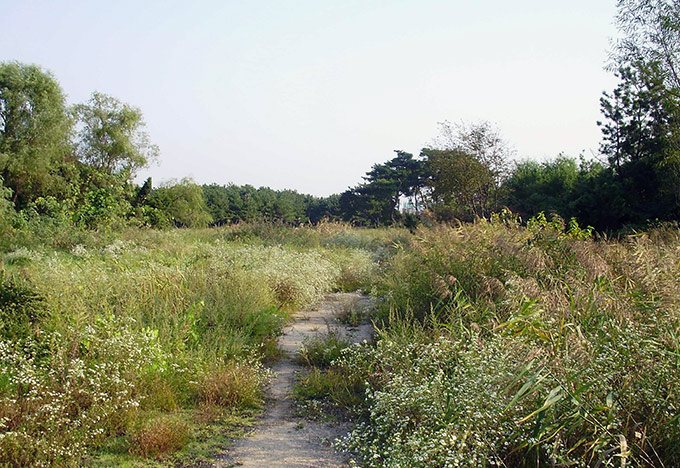 Golf course