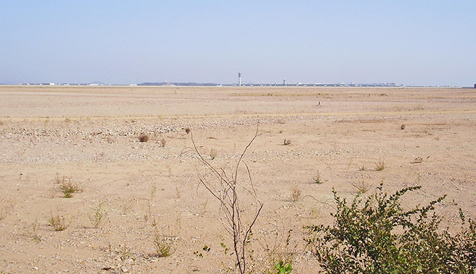 Cleared former Wetland near the airport