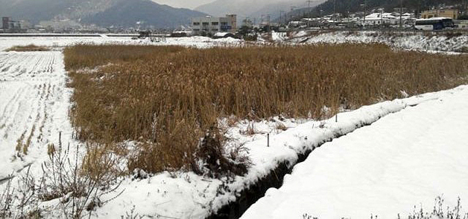 Geoje