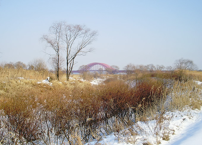 Gangseo Marsh Park