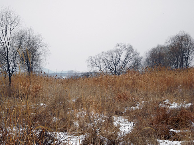 Ganseo ECO Park
