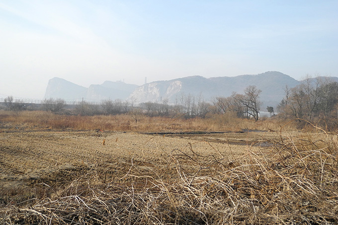 Baekryeiong Do, mixed habitat near Hyeonhwa Ri