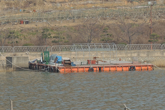 P1: New Platform