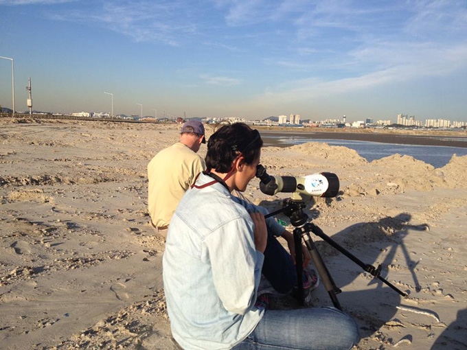 Birding at the University Mudflats