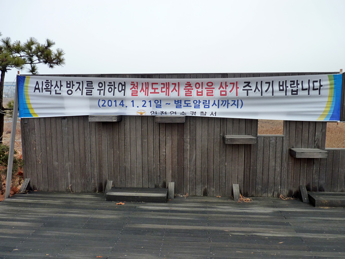 AI warning banner