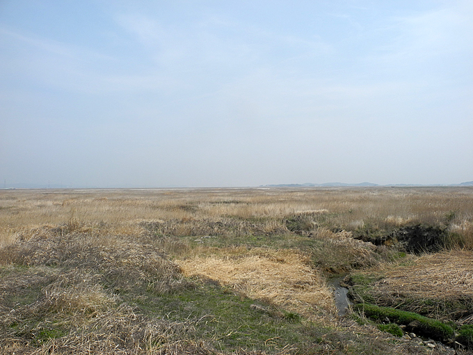 Mangyeung Estuary