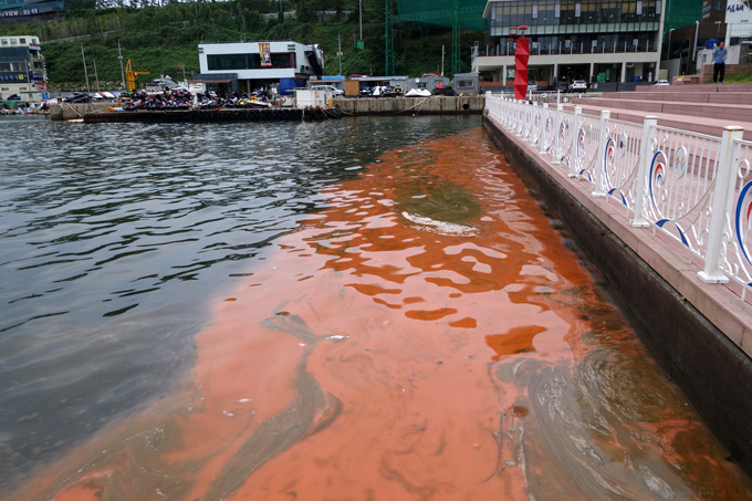Red Tide, Busan, Sep 17 and 18