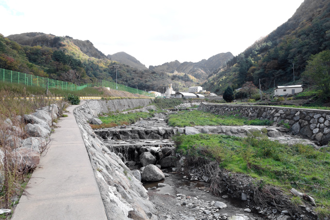 Ulleung Island Stream used by Dunlin
